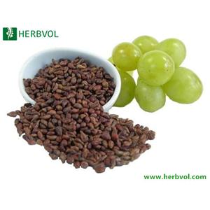 Grape Seed Extract