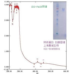 轉(zhuǎn)鐵蛋白(牛來(lái)源)