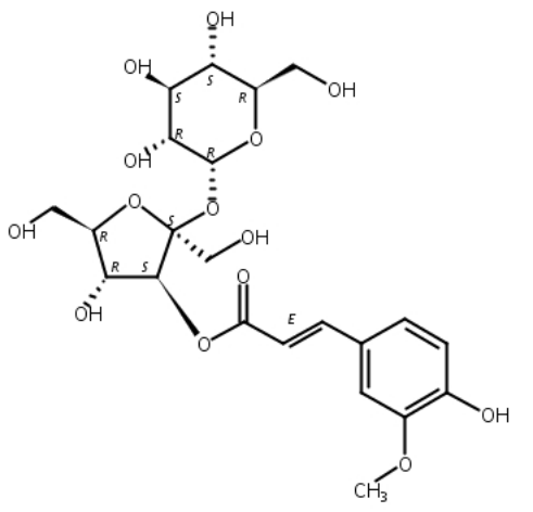 西伯利亞遠志糖A5