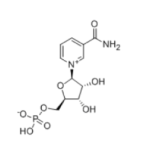 β-煙酰胺單核苷酸-煙酰胺單核苷酸