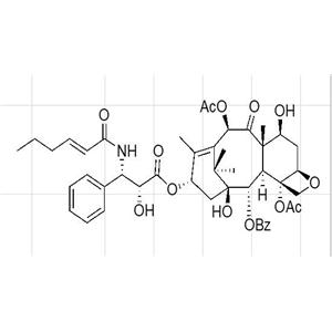 紫杉醇EP雜質(zhì)Q