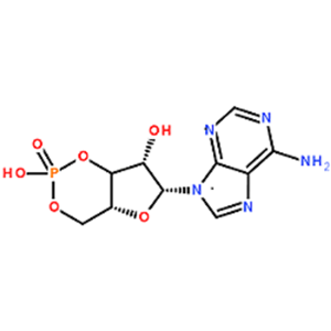 信號(hào)分子系列檢測(cè)檢測(cè)_迪信泰檢測(cè)