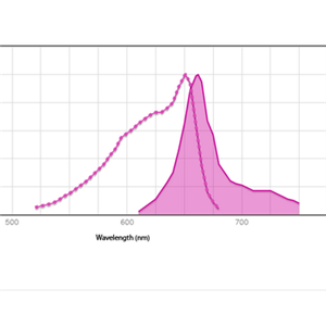 ANTI-HUMAN CD19