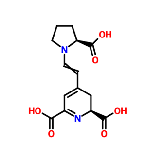 梨果仙人掌黃質(zhì)