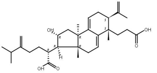 茯苓酸A,茯苓新酸A