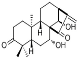 Glaucocalyxin A