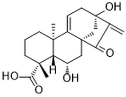 Pterisolic acid A