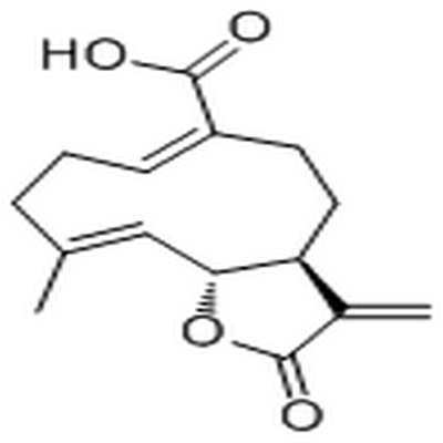 Bakkenolide B