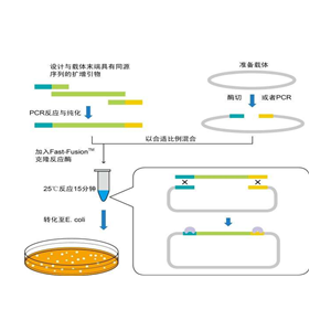 牛肺線蟲探針法熒光定量PCR試劑盒