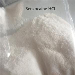 Procaine Lidocaine Tetracaine