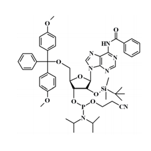 N-苯甲?；?5'-O-(4,4-二甲氧基三苯甲基)-2'-O-[(叔丁基)二甲基硅基]腺苷-3'-(2-氰基乙基-N,N-二異丙基)亞磷酰胺