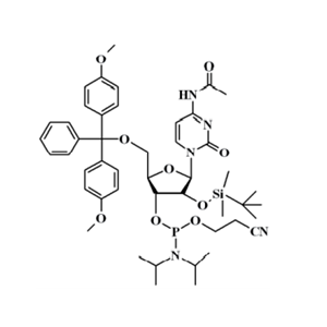 N-乙酰基-5'-O-(4,4-二甲氧基三苯甲基)-2'-O-[(叔丁基)二甲基硅基]胞苷-3'-(2-氰基乙基-N,N-二異丙基)亞磷酰胺