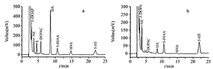 8種單胺類神經(jīng)遞質(zhì)色譜圖
