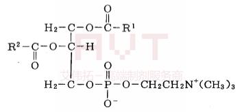 蛋黃卵磷脂PL-100M-艾偉拓（上海）醫(yī)藥科技有限公司