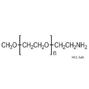 mPEG-NH2 HCL