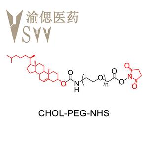 膽固醇PEG-氨基、CLS-PEG-NH2