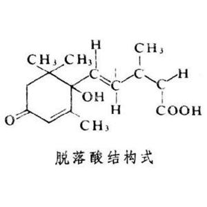 脫落酸