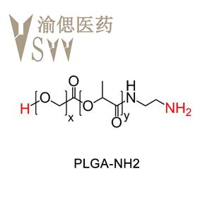 聚(D,L-乳酸-co-乙醇酸)-氨基