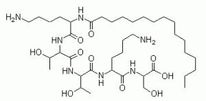 1609827031574593.gif Palmitoyl Pentapeptide-4.gif