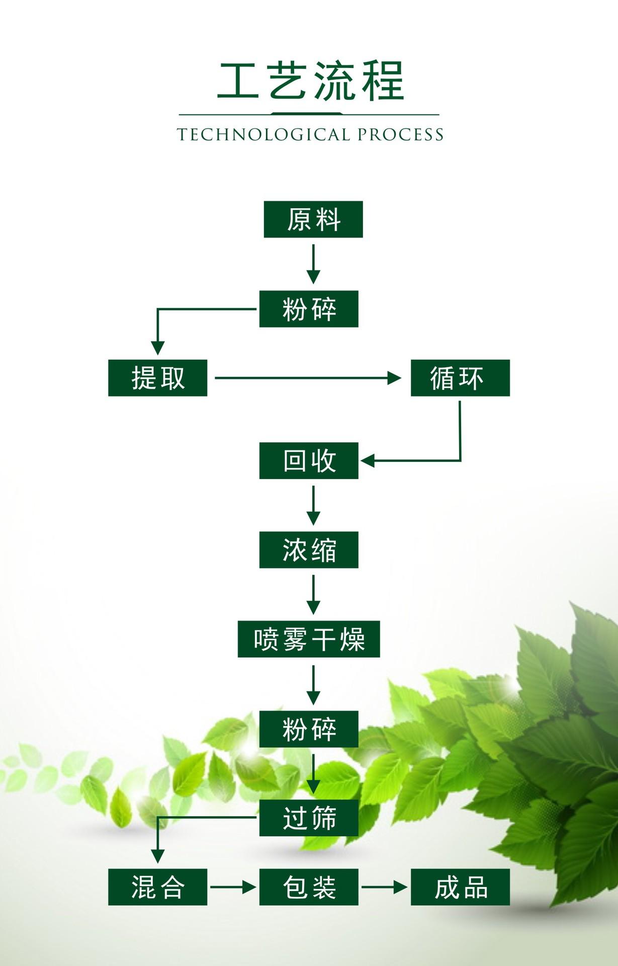 迷迭香酸 迷迭香提取物 純植物提取示例圖14