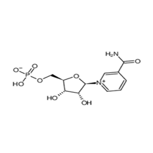 β-煙酰胺單核苷酸（NMN）