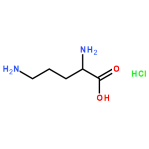 L-鳥(niǎo)氨酸鹽酸鹽