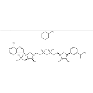 還原型輔酶II四環(huán)己胺鹽