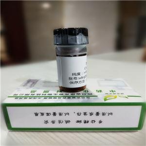 苦木西堿T