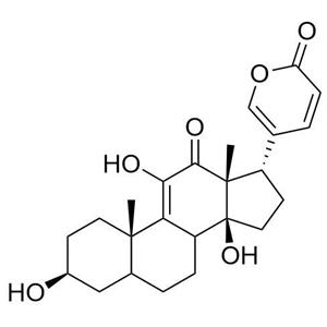 Argentinogenin