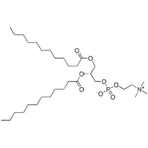 L-ɑ-月桂酰磷脂酰膽堿