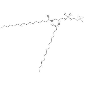 二棕櫚酸磷脂酰膽堿