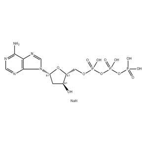 2′-脫氧腺苷-5′-三磷酸二鈉鹽