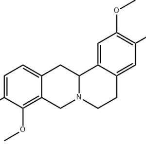 延胡索乙素