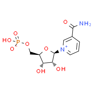 β-煙酰胺單核苷酸；NMN；