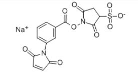 m-馬來酰亞胺苯甲酸琥珀酰亞胺酯 鈉鹽CAS:92921-25-0 