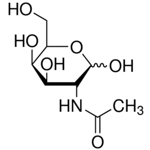 N-乙?；?D-半乳糖胺