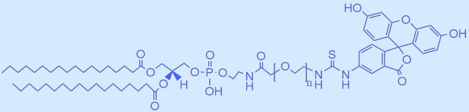 二硬脂?；字Ｒ掖及肪垡叶紵晒馑?jpg