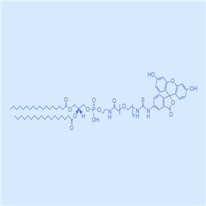 DSPE-PEG-FITC 二硬脂?；字掖及?聚乙二醇 熒光素