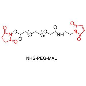 馬來酰亞胺-聚乙二醇-活性脂  N-羥基琥珀酰亞胺