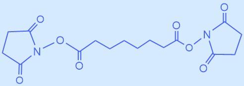 二(N-羥基琥珀酰亞胺)辛二酸酯.jpg