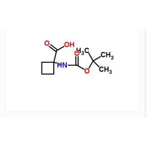 Boc-1-氨基環(huán)丁烷羧酸