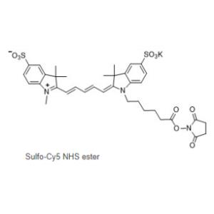 CAS號:2230212-27-6,Sulfo Cy5 NHS ester,磺化Cy5-NHS 活化酯