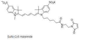 Sulfo-Cy5 maleimide;Sulfo-Cy5 mal;Sulfo CY5 Mal