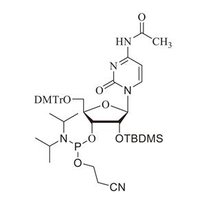 RC-TBDMS亞磷酰胺單體