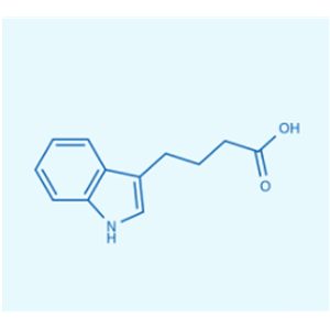 吲哚-3-丁酸