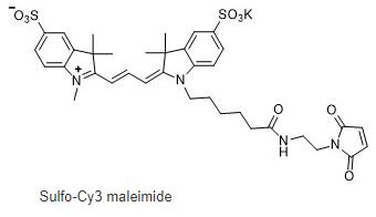 Sulfo-Cy3 maleimide,水溶性CY3馬來酰亞胺,Sulfo-Cy3 mal磺酸基-Cy3,馬來酰亞胺