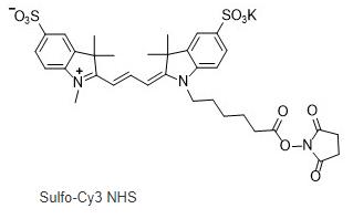 cas:1424150-38-8 (sodium salt),1424433-17-9,1518643-34-9 (inner salt)