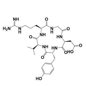 RGD環(huán)肽