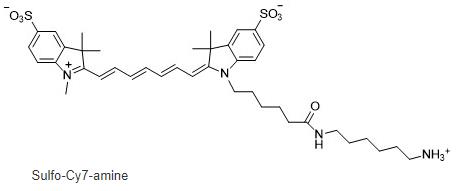 磺化CY7氨基，Sulfo-Cyanine7 amine，cas:2236573-39-8