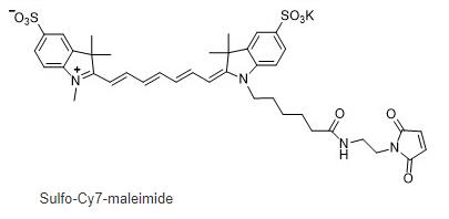 Sulfo-Cyanine7 hydrazide